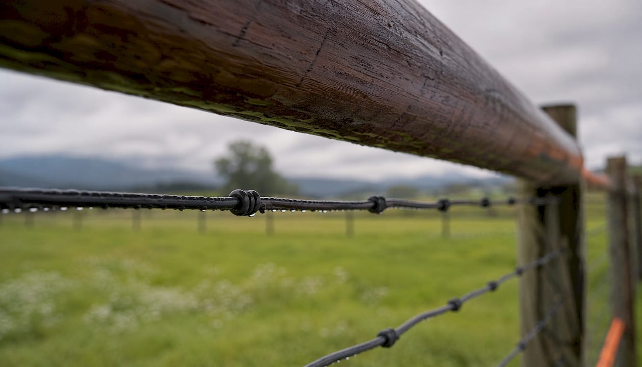 Close-up of vinyl-coated high-tensile horse fence