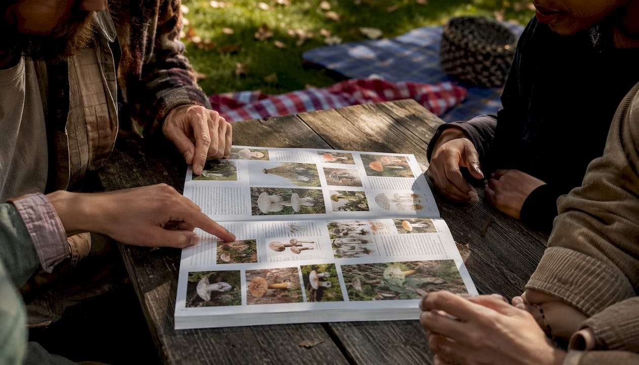 Hands reviewing mushroom buying guide printed sheet