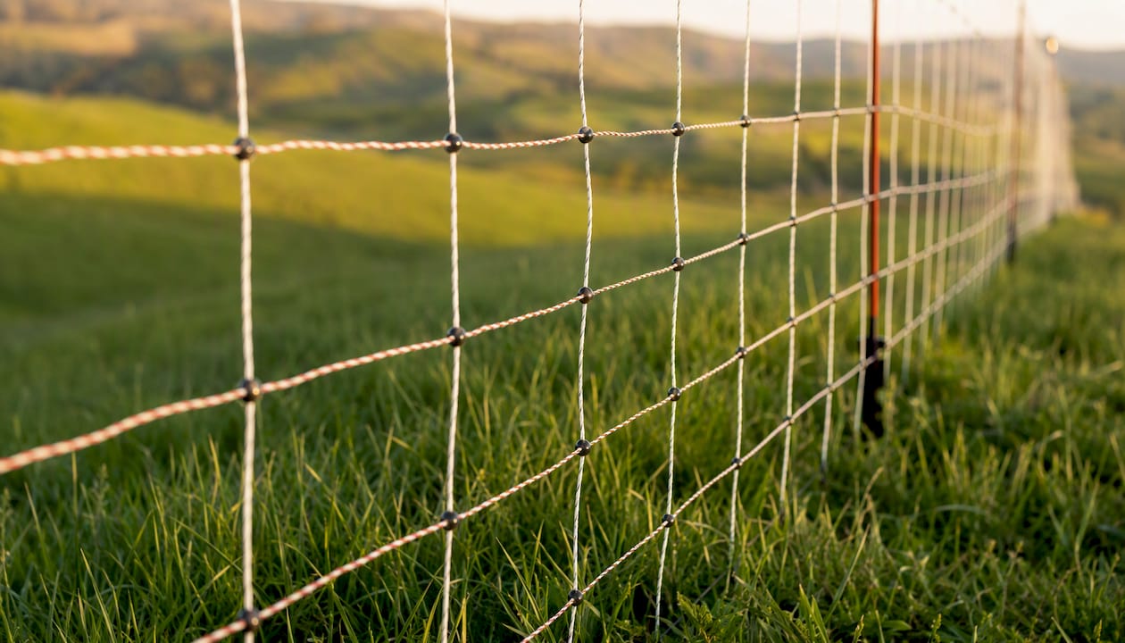 Close-up of electric netting installed
