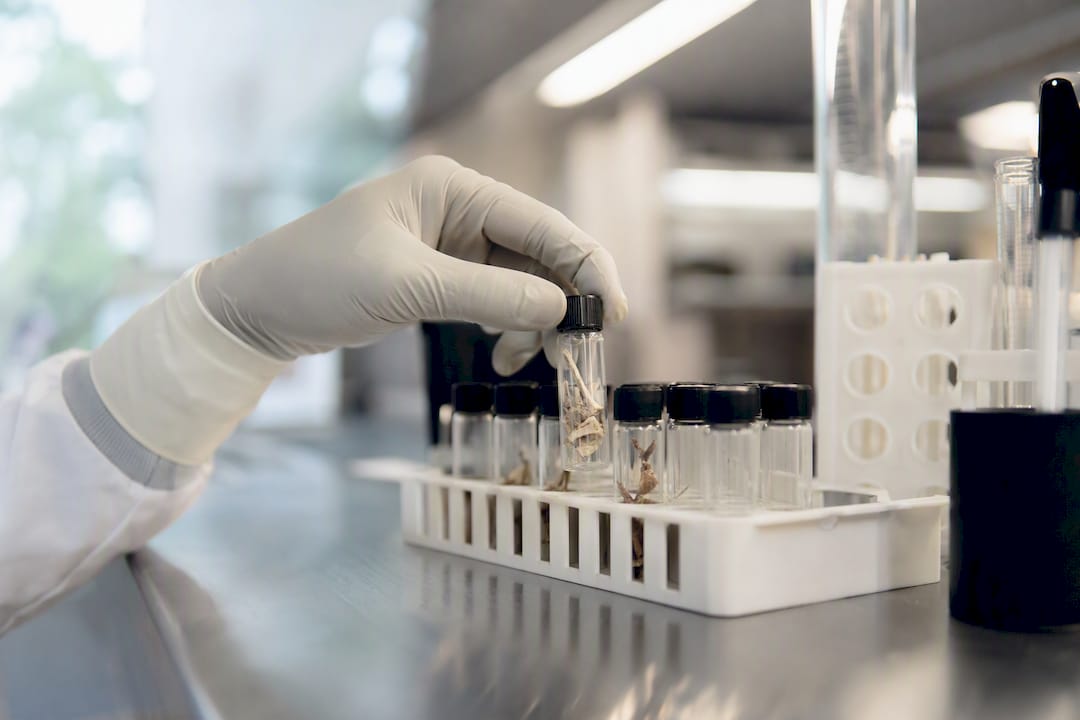 Hand holding mushroom sample vial in lab testing setup