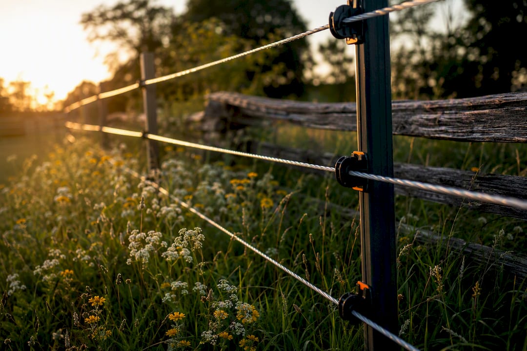 Close-up of coated fencing wire on wooden post