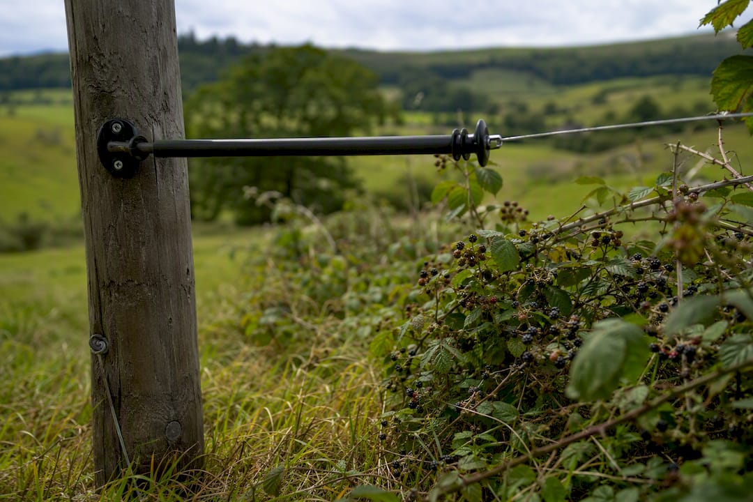 Long insulator stand-off preventing brush contact