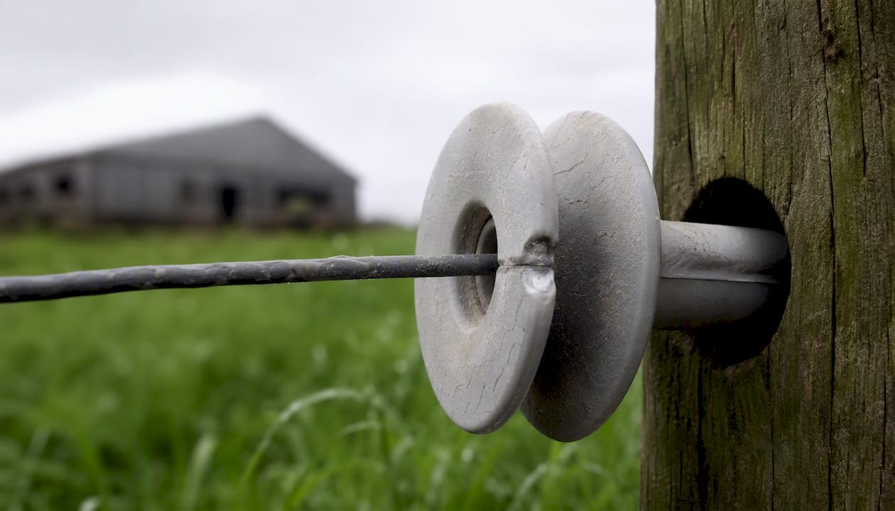Chalky, cracked plastic insulator on fence post