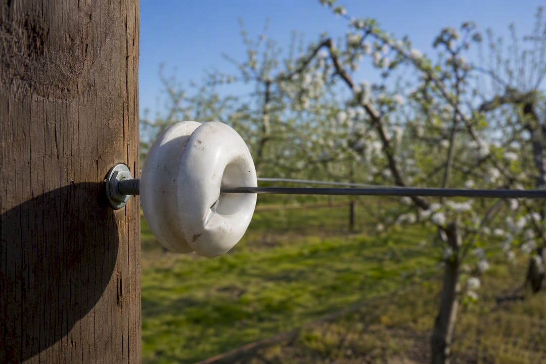 Porcelain electric fence insulator close-up