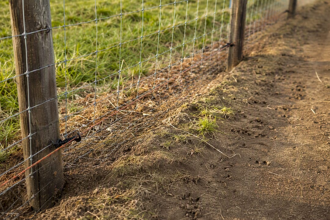 Close-up of farm fence with wildlife protective features