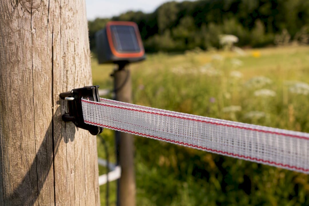 Close-up of white electric tape horse fencing