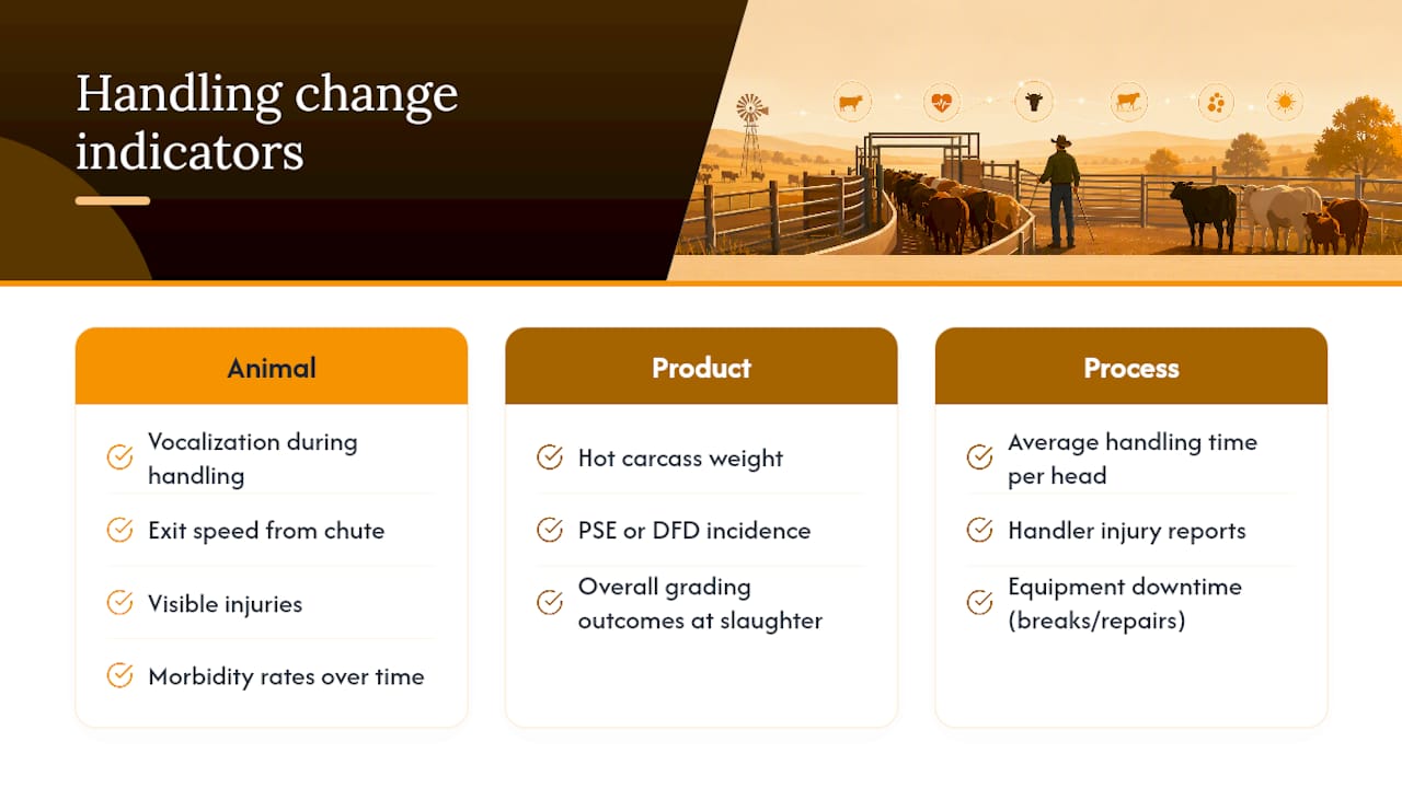 Tracking Whether Your Handling Changes Are Working — overview diagram