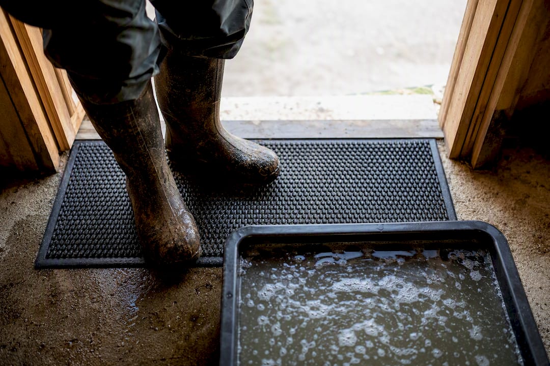 Boot bath positioned at barn doorway