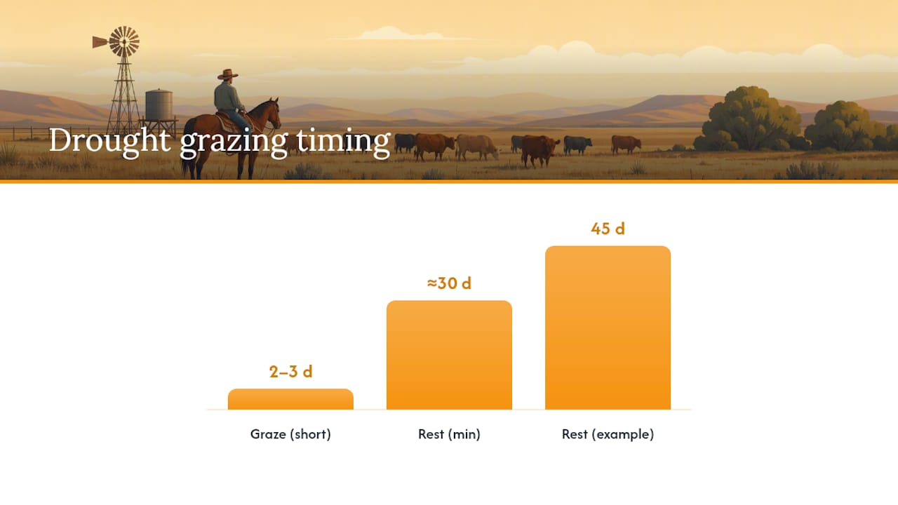 Drought grazing measurement and rest sequence