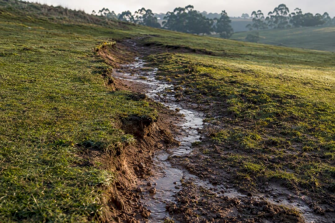 Erosion gully crossing sloped pasture