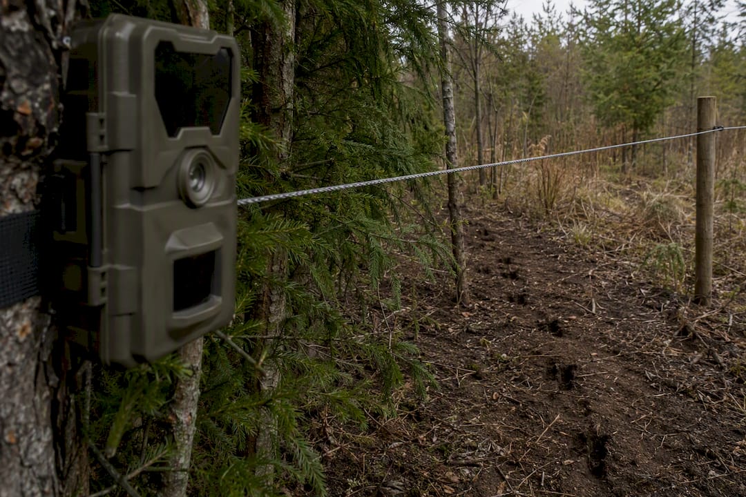Trail camera monitoring wildlife near fence