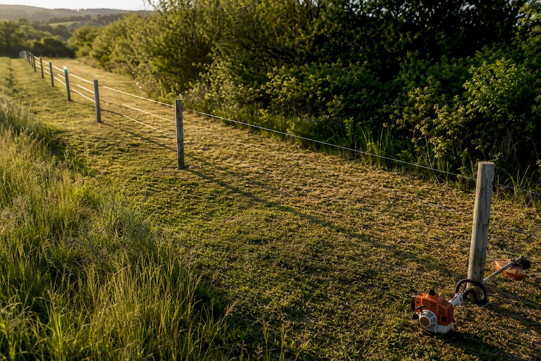 Cleared vegetation buffer beside fence line