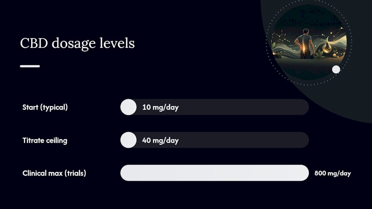 What Is the Right CBD Dosage for Sciatica? — overview diagram