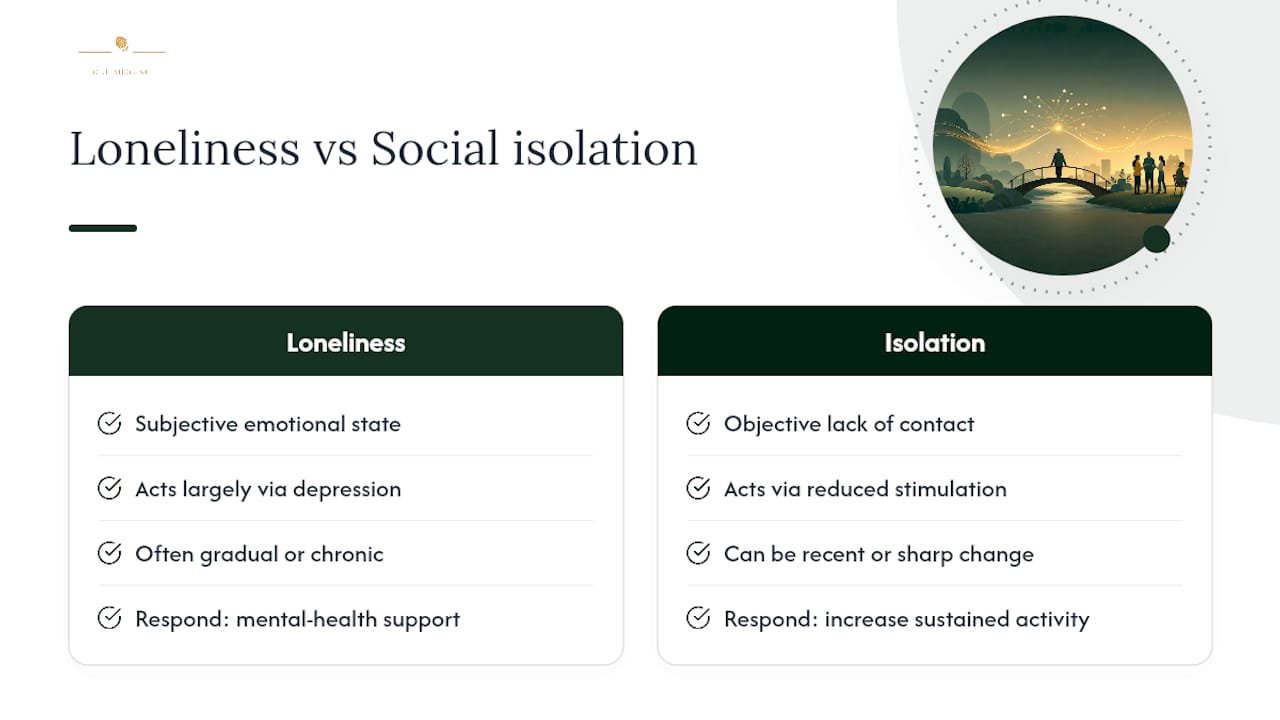 Loneliness and isolation pathways compared
