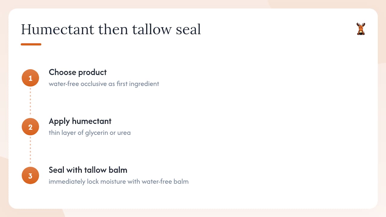 Why water-free occlusives support dry heels — overview diagram