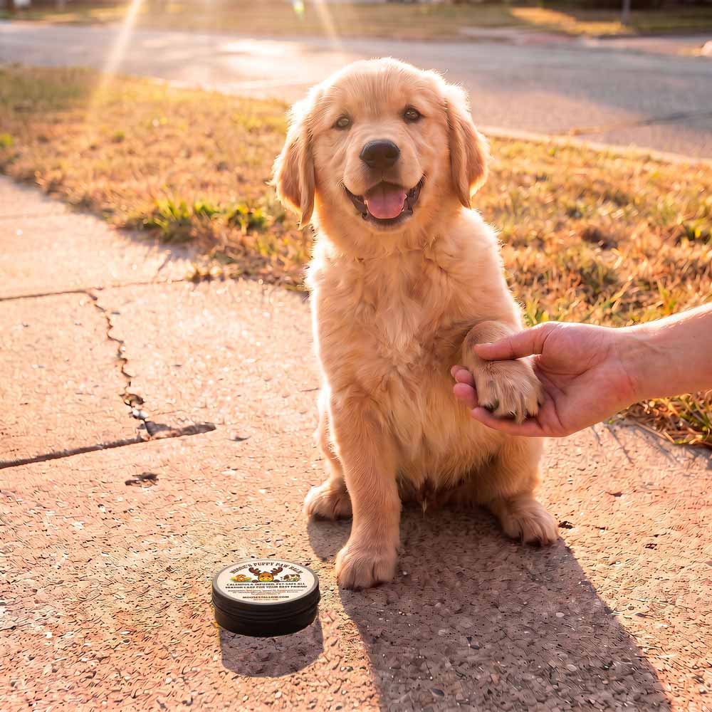 Dog Paw Balm & Wax | Puppy Paw Nourishing Balm with Calendula