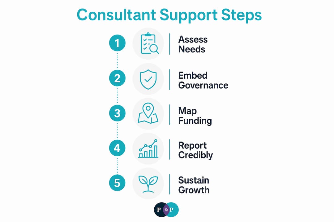 Infographic outlining consultant support steps for non-profits