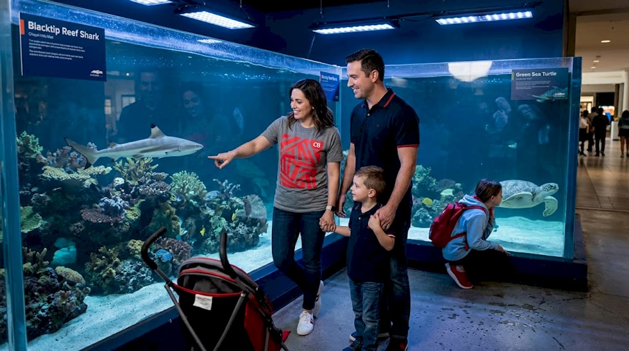 Visitors at Jungle Reef Aquarium tank