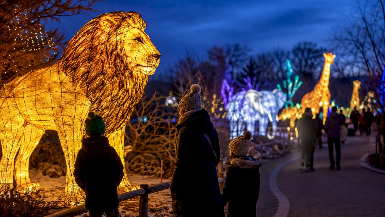 Families viewing winter light sculptures