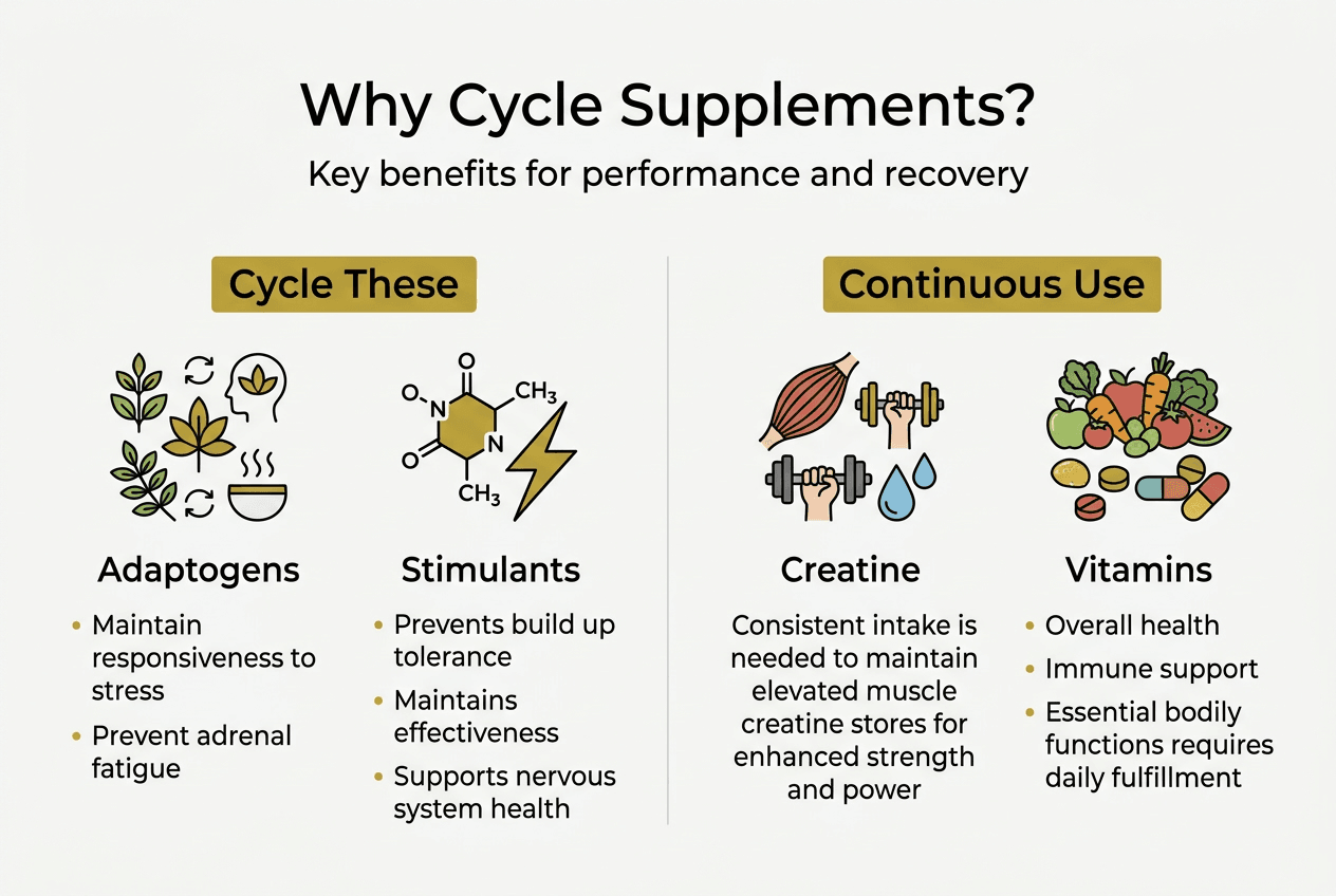 Infographic showing cycling versus continuous supplements