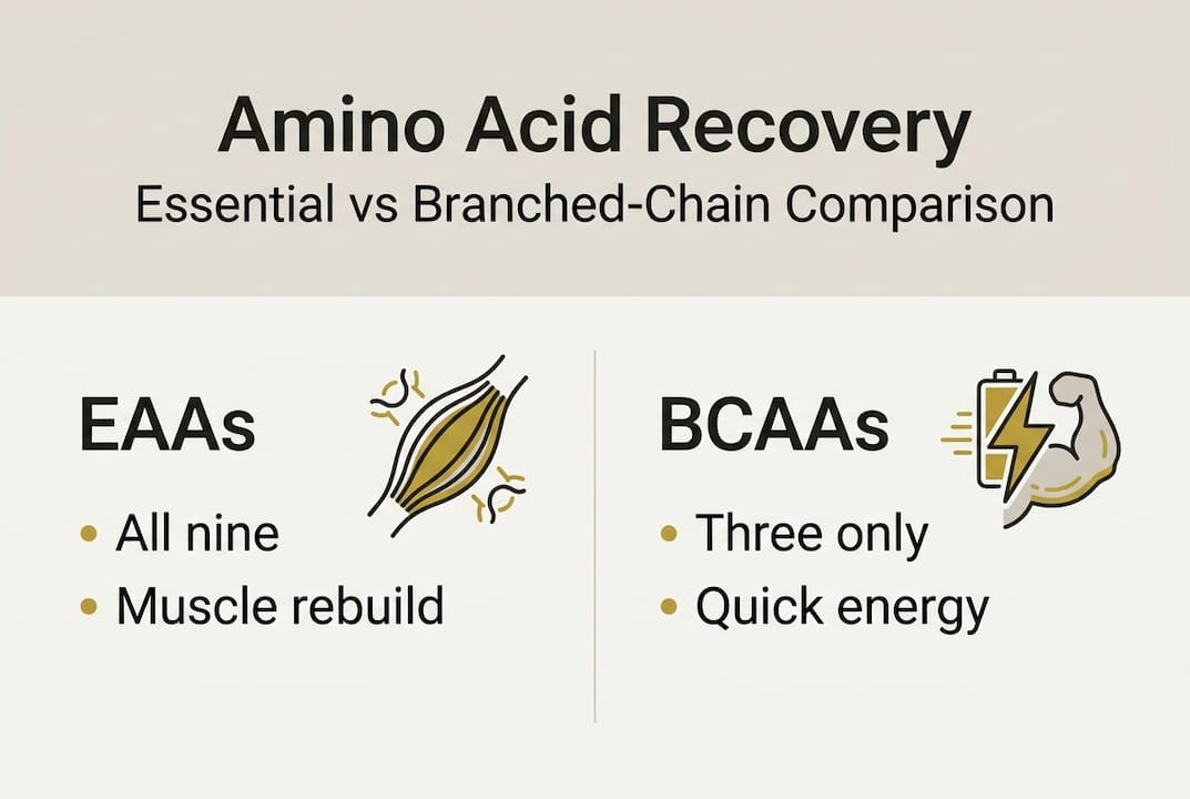 Infographic comparing EAAs and BCAAs