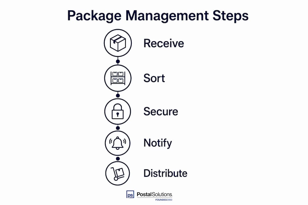 Infographic with package management process steps