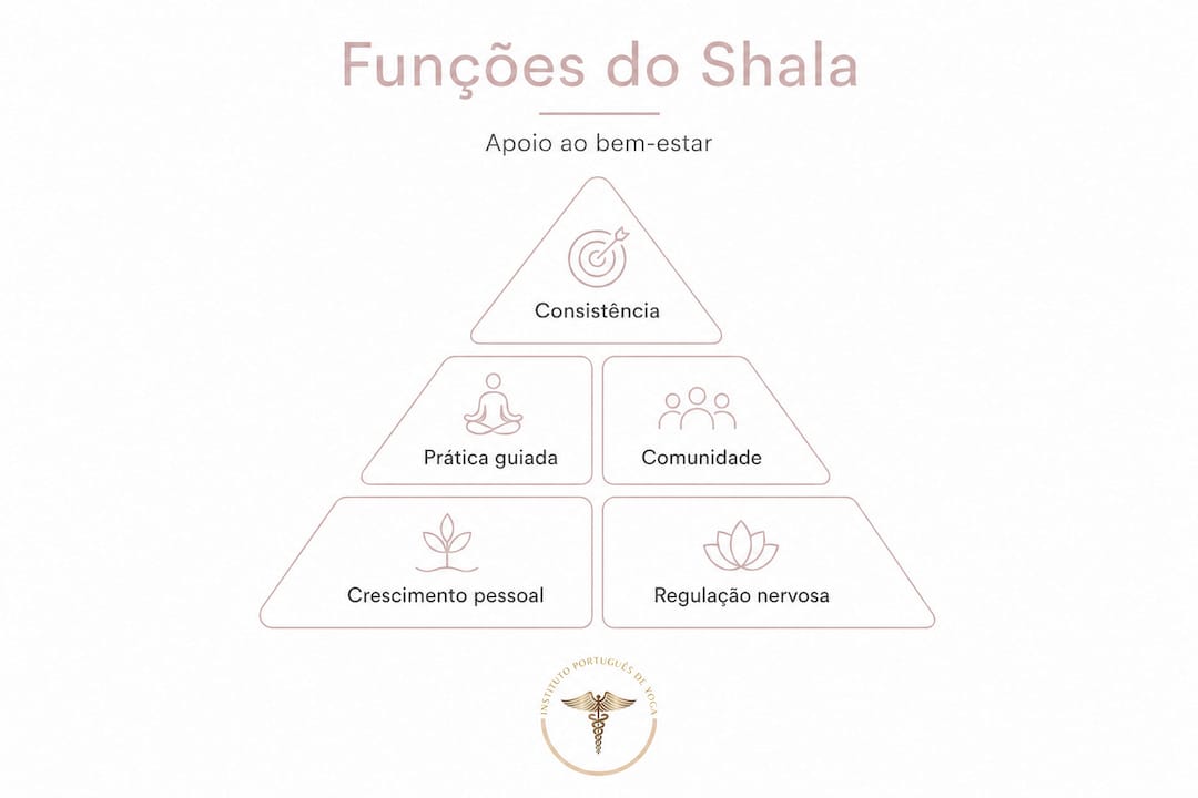 Infografia em formato hierárquico com as principais funções do shala