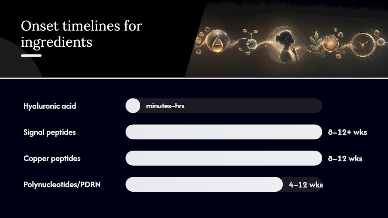 Timeline of topical volumizing ingredients actions