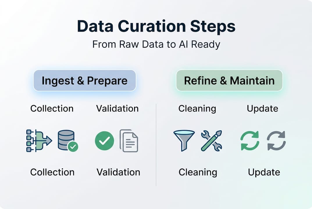 Infographic outlining main data curation steps