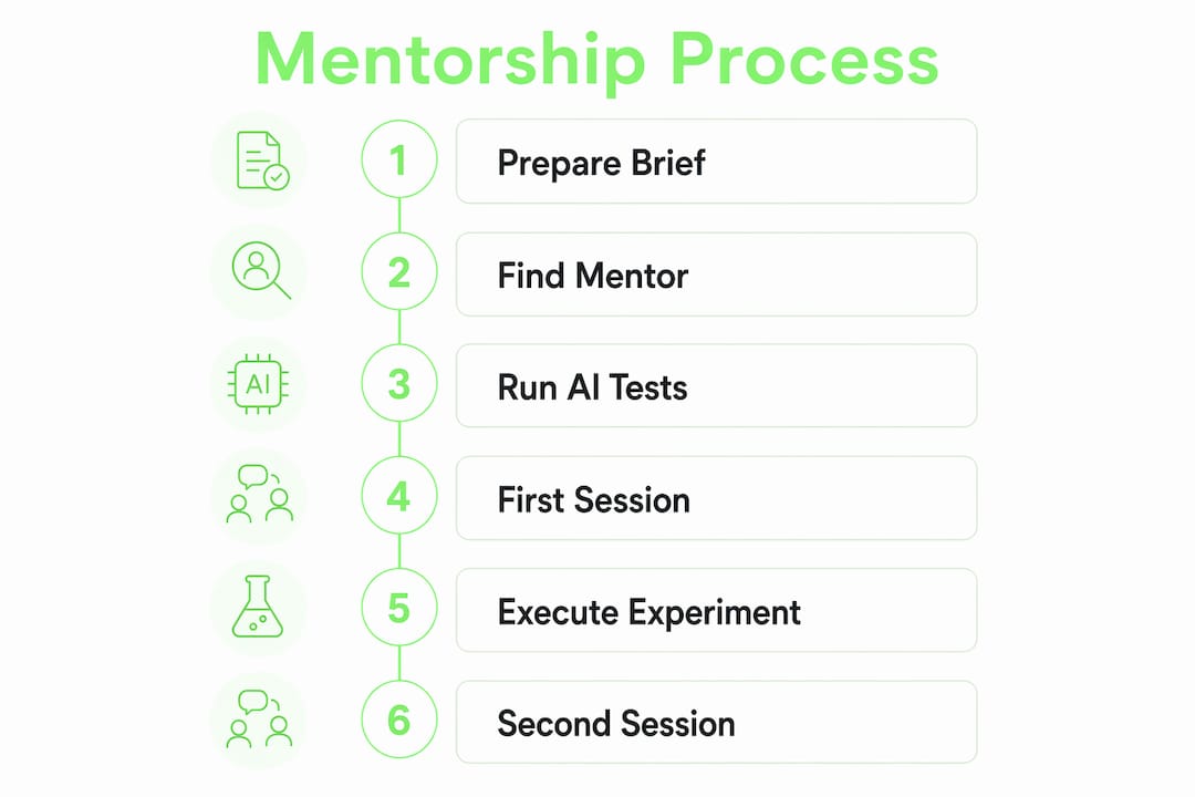 Vertical flow infographic of mentorship steps