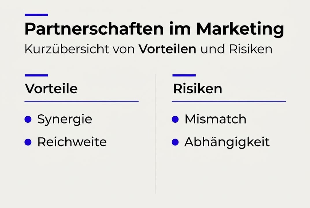 Grafik: Chancen und Herausforderungen von Partnerschaften im Überblick