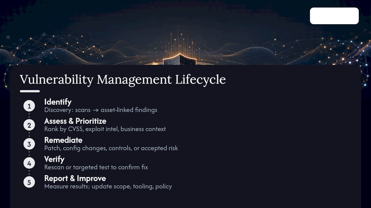 Five-stage vulnerability management lifecycle with feedback loop