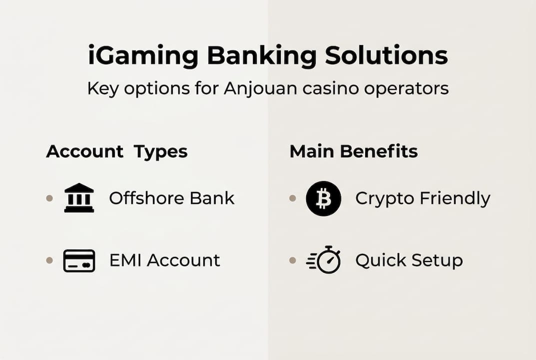 Infographic summarizing banking solutions for casinos