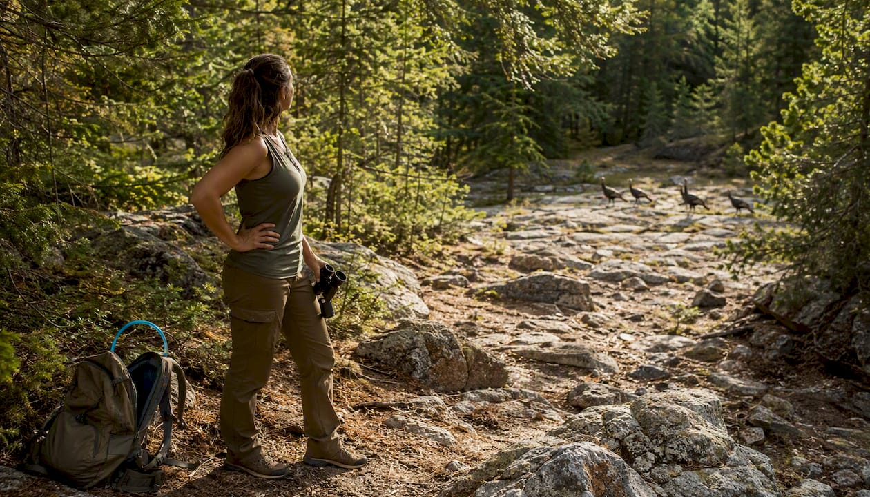 Hiker observing deer safely on forest trail