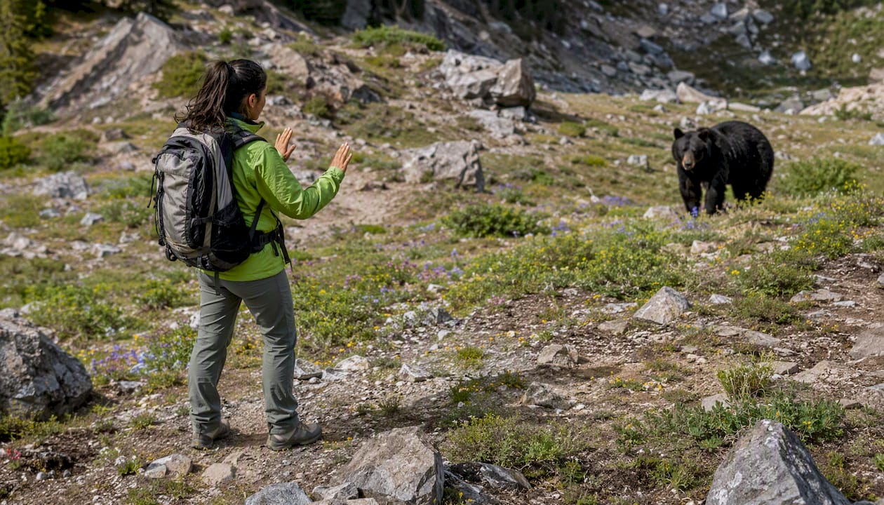 Woman calmly facing bear during forest encounter