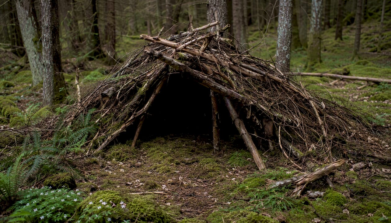 Partially built debris hut in forest