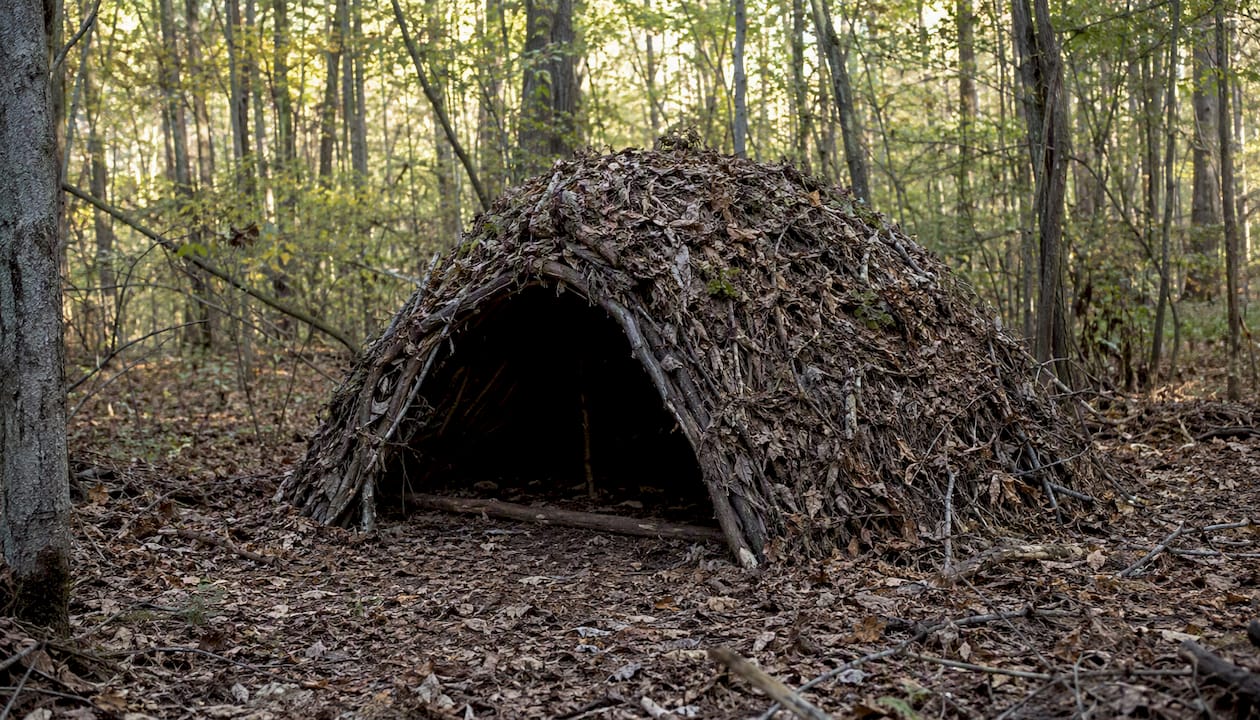 Completed debris hut in forest setting