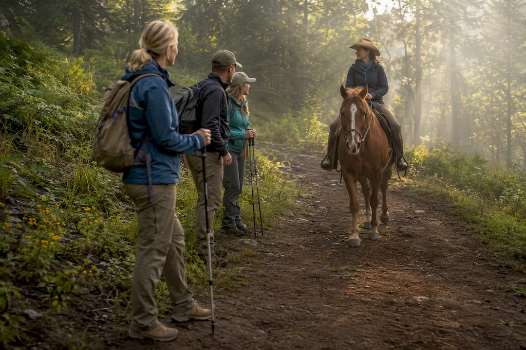Hikers yielding to horse on forest trail
