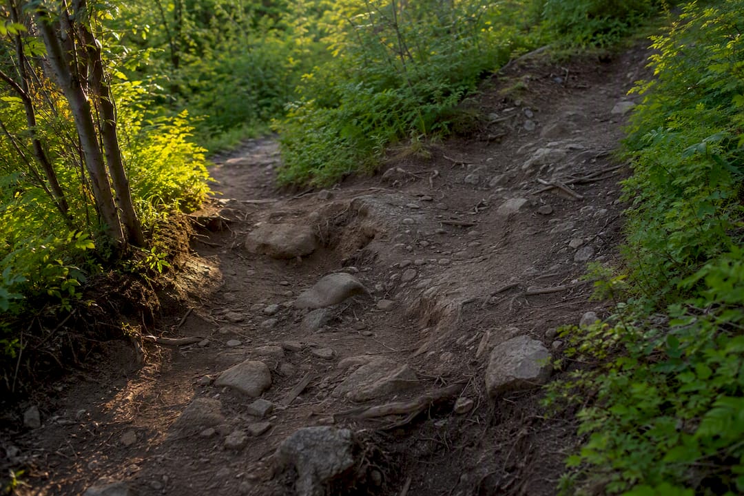 Eroded trail with visible shortcut paths