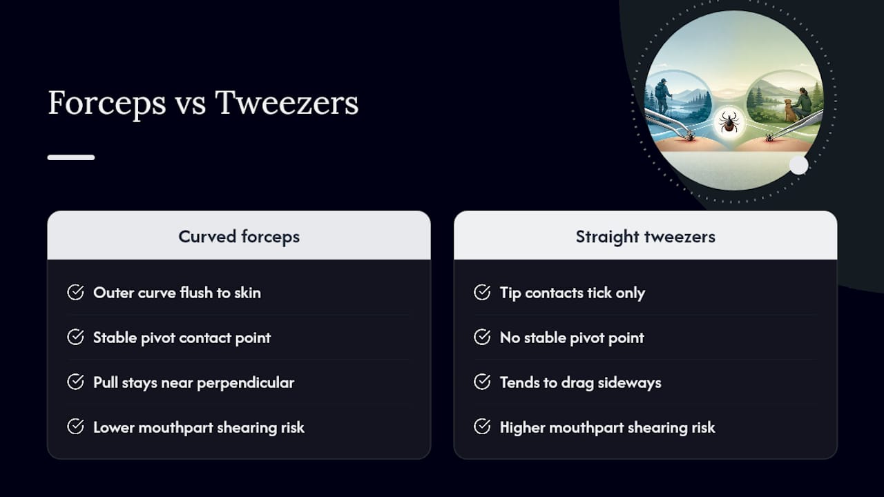 Diagram comparing curved and straight tweezers for tick removal