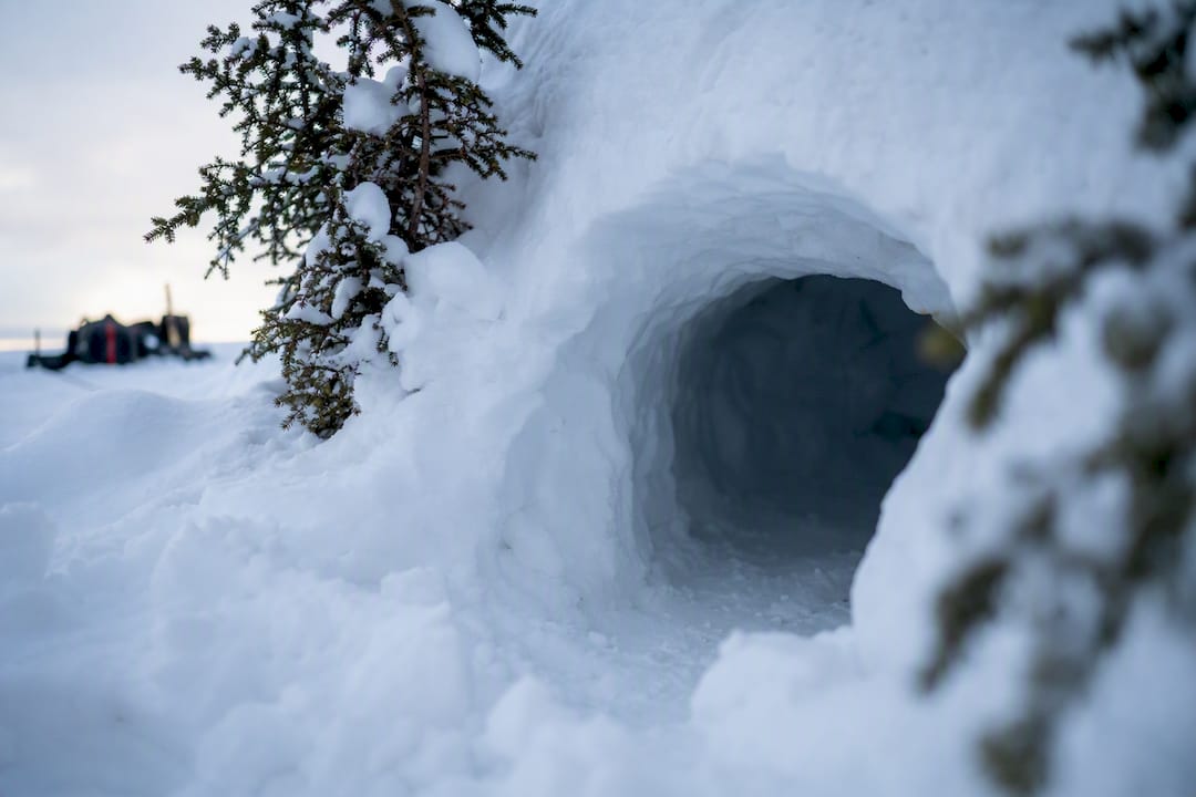 Entrance of a freshly dug snow cave in winter forest