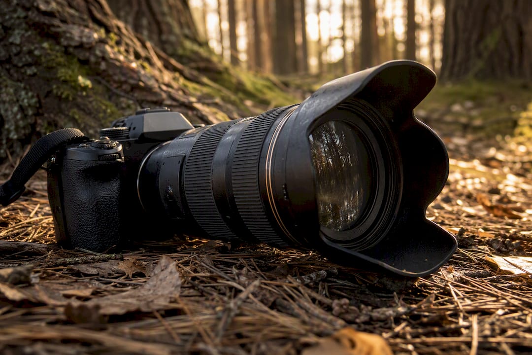 Close-up of telephoto lens with hood attached outdoors
