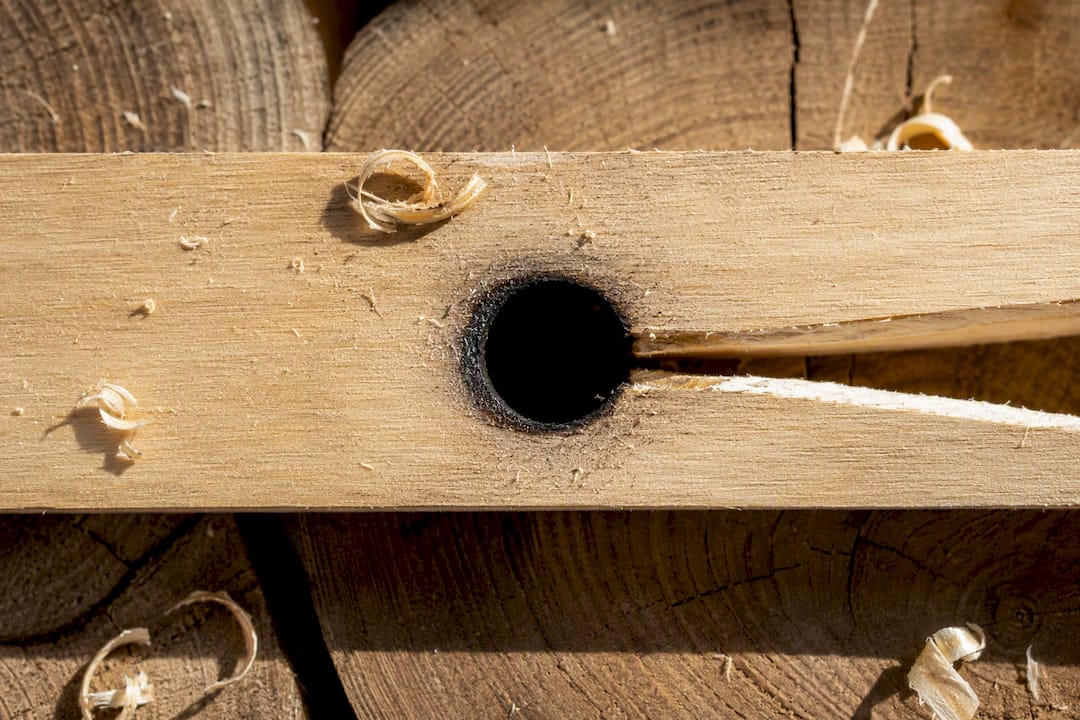 Notched bow drill fireboard socket