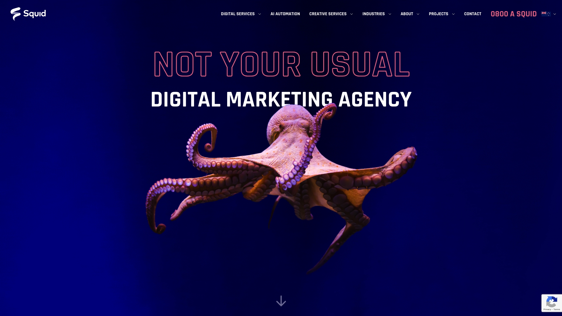 Top 7 Harperdigital.co.nz Alternatives in 2026 for Small Business Owners in Auckland 5 Web Design Image Product Screenshot