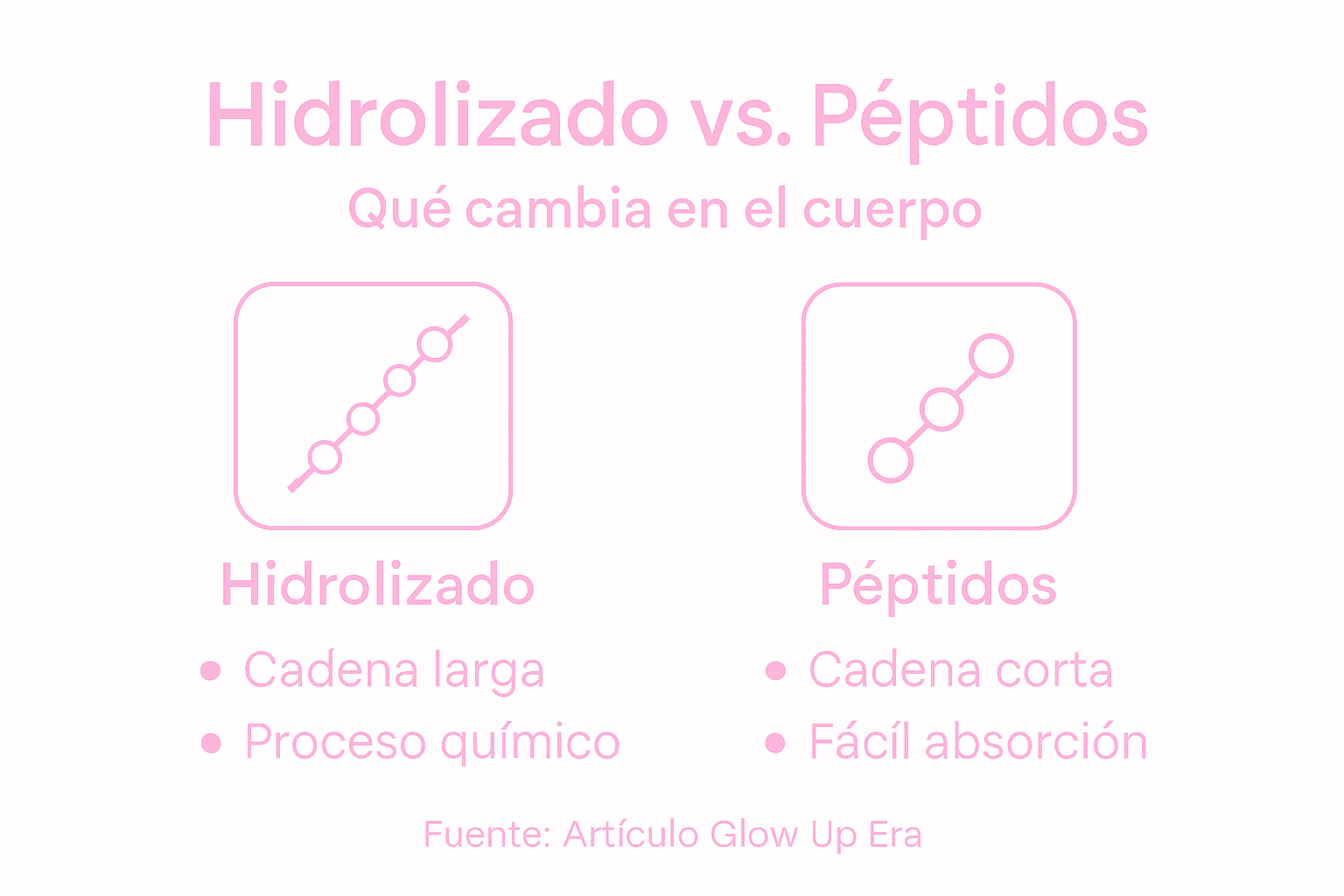 Infografía: ¿En qué se diferencian los hidrolizados y los péptidos?