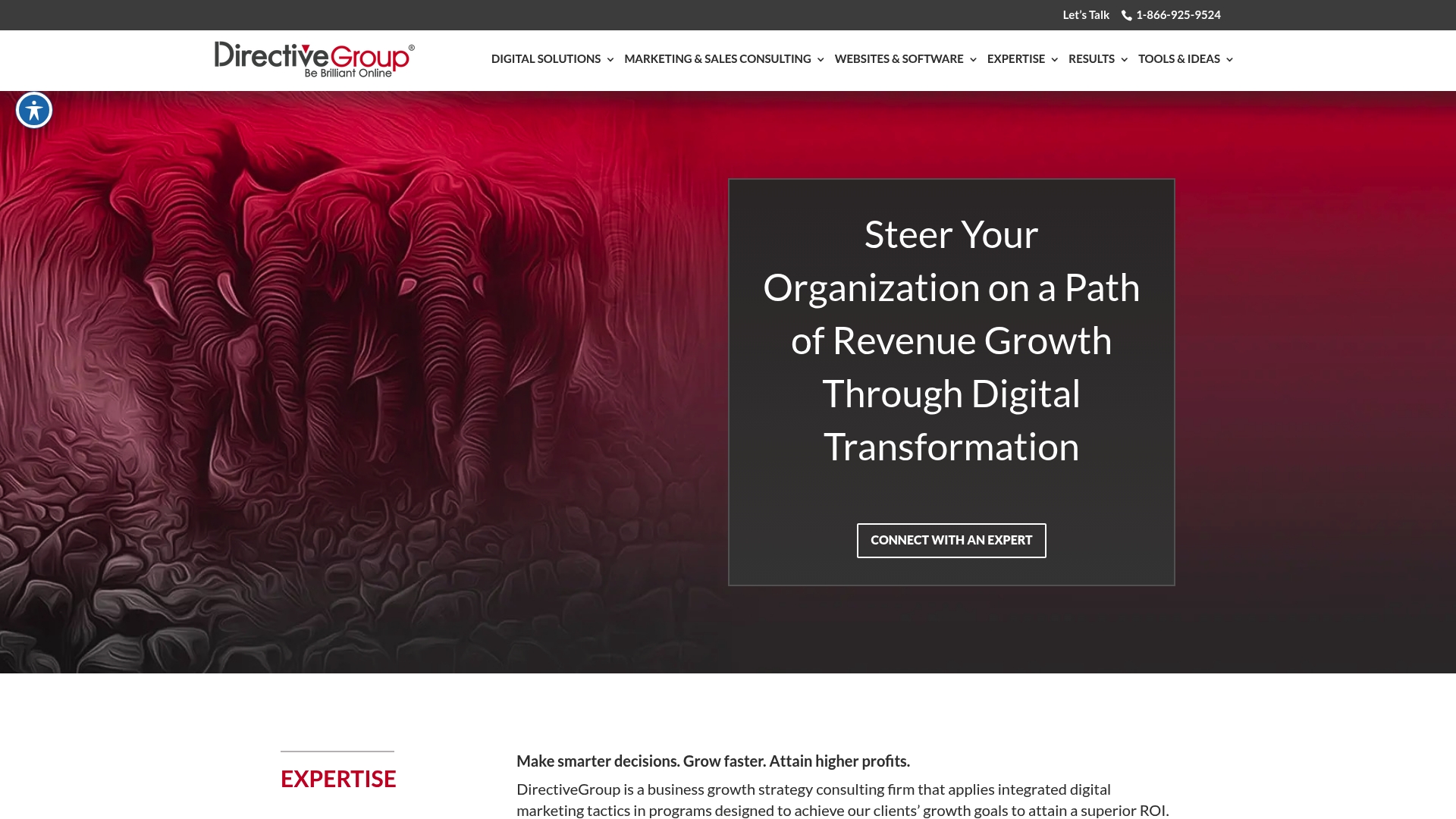https://directivegroup.com