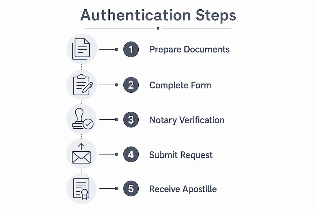 Infographic showing steps for document authentication