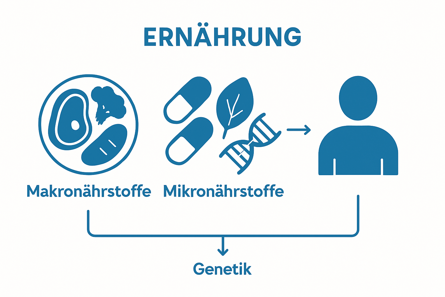 Icons for Makronährstoffe, Mikronährstoffe, Genetik