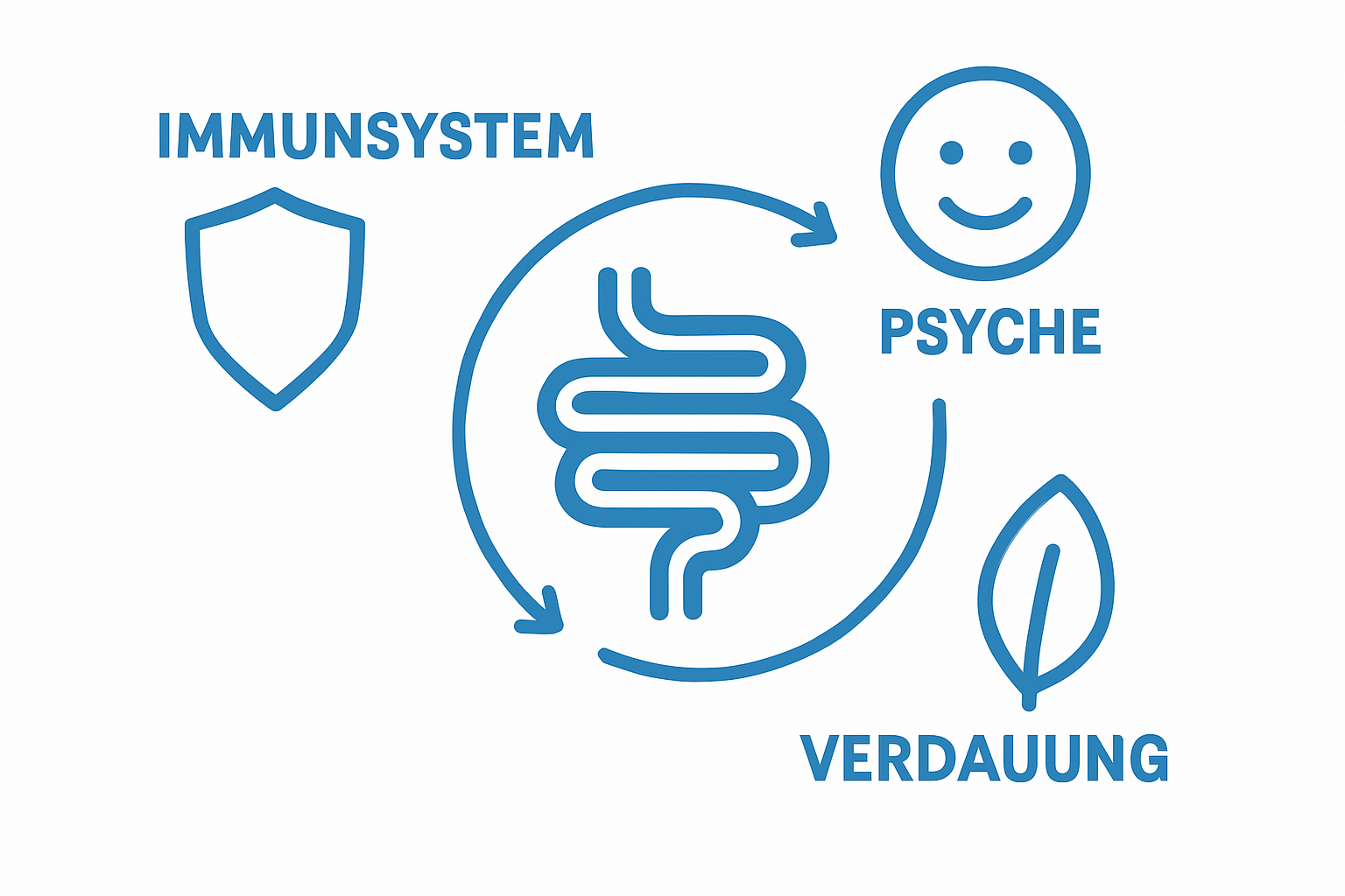 Infographic shows gut health influences immune system, mental wellbeing, and digestion.