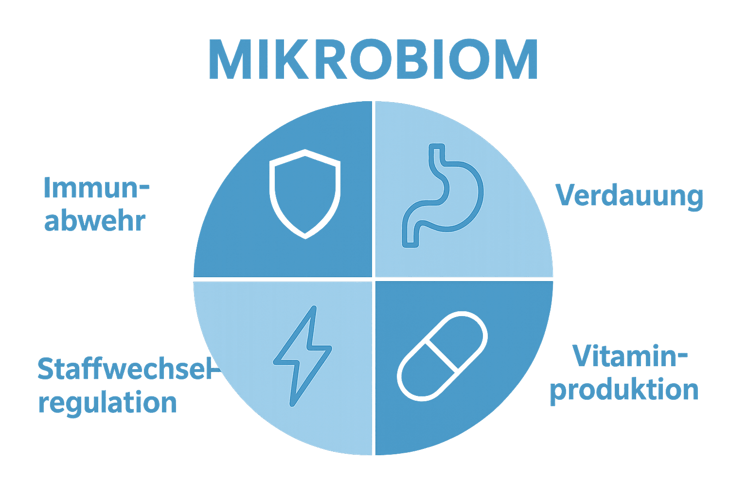 Infographic showing four basic microbiome functions as color icons